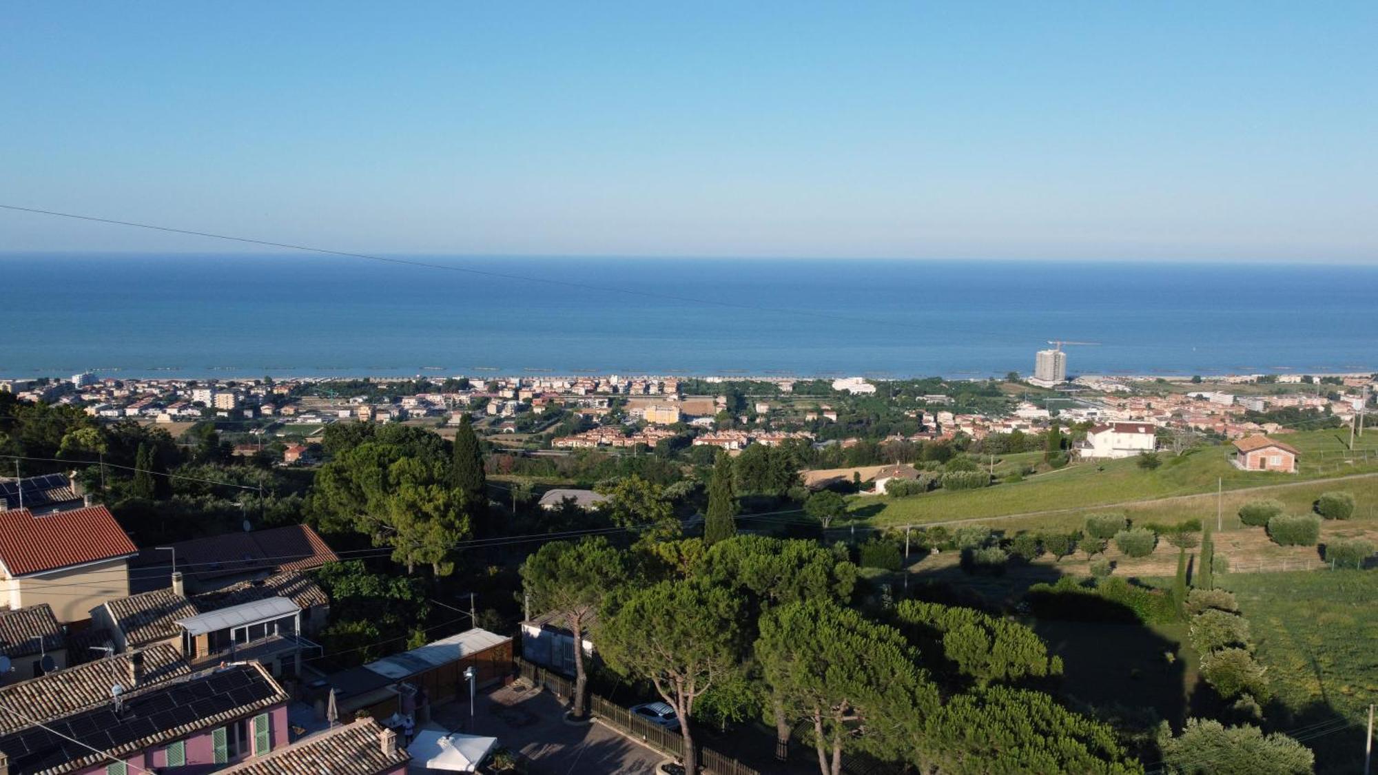 L'organetto, Luxury *